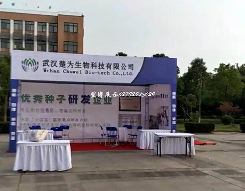 7月—桁架室外展銷會(huì)搭建